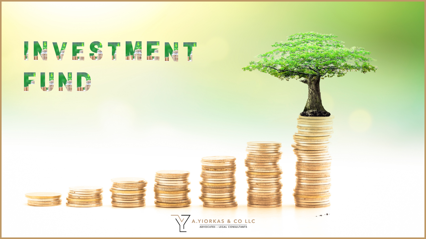 Cyprus Company Investment Fund